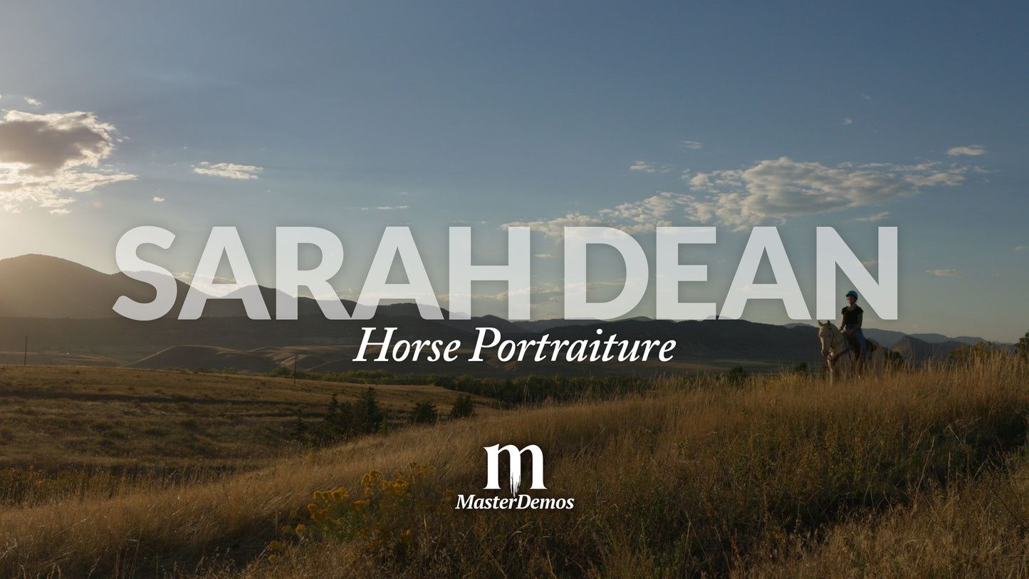 Sarah Dean - Horse Portraiture